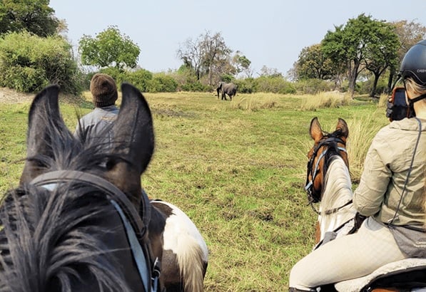 6 Day Okavango Delta Horseback Safari in Botswana